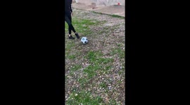 Dog playing Football with humans finally steals the ball to score