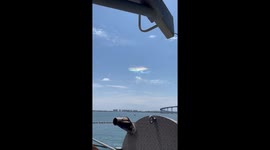 Hi Welcome . You Can Find Here Mind Blowing, Fascinating And Uniquely Amazing Content, So Make Sure to check it out