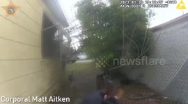 Florida Suspect Guns Down Cop Before Brave Dog And Officer's Colleague Take Him Out In St. Petersburg, FL, USA