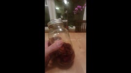 Garlic and Honey Super Powerful Home Remedy to fight colds and COVID!