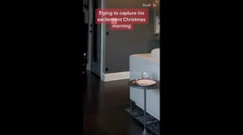 This adorable boy can't believe that Santa came... and ate his cookies