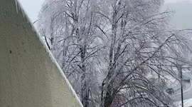 An early spring ice storm in Montreal as a winter storm brings freezing temperatures back across many parts of North America