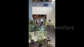 Hungry moose strolls into hospital in Alaska