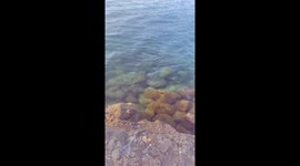 A nice view on the sea side of North Cyprus / Girne