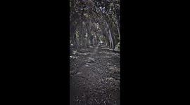 A jungle journey in summer with friends and we enjoyed it