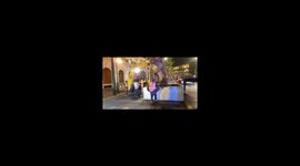 Relocation of the palm trees in the center of Athens, Greece, near Grand Bretagne hotel. Hot news