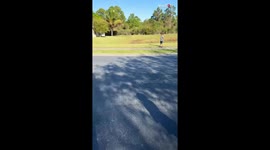 Daddy's cute little girl waits for him to come back from work