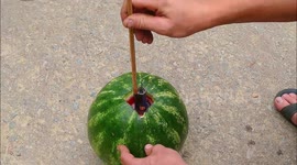 Powerful rocket meets watermelon and the results go BANG