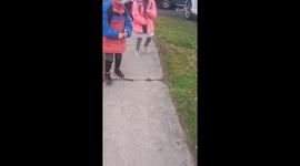 Mother surprises her kids with their very first car *delightful reaction*