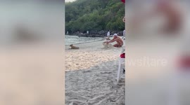 Stray dog relaxes while tourists cover him with sand on beach in Thailand