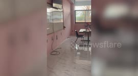 Teachers catch ferocious snake that invaded classroom