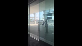 Heartwarming moment at Cairns Airport: officer and dog play outside