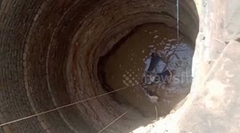 Bull rescued after falling into 60-foot-deep well in central India