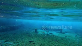 Cinematic footage shot under the Baotu Spring with GoPro in China