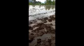Young boy takes a spill into rice field stream while washing hands in West Sumatra