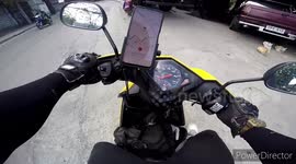 Excited pet cats greet rider owner when she returns home