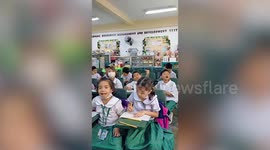 Lost love bird wanders into classroom and sings to pupils
