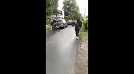 Pedestrian's video captures terrifying moment as a buffalo charges towards crowd in Solo, Central Java