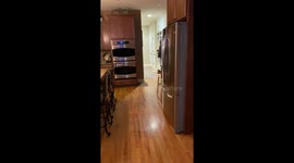 Excited Goldendoodle gives human brother a Pee-leasant welcome home