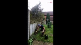 13 HOURS of thorough garden cleaning condensed into a soothing 100-second montage *UNREAL*
