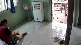 Wild snake slithers around woman's feet as she sits on floor using phone