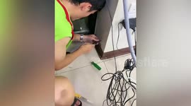 Shopkeepers cut through shop's walls to save trapped kittens