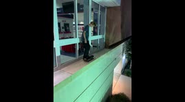 Boy trying to Kickflip his skateboard falls to 20 feet drop *Crazy fail*