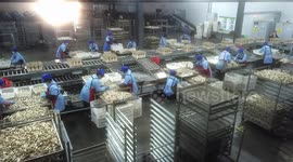 Edible Mushroom Production Base in Lianyungang, China