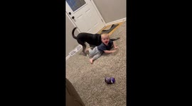 Toddler can't help but roll on the floor and laugh as his dog bestie keeps tickling him