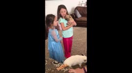 'She's so cute, she's so cuddly & sweet' : Girls can't stop gushing over their new puppy