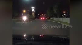 Police Dogs Catch Man Who Stole Refrigerated Semi-Truck With More Than GBP 150,000 Worth Of Food In Ocala, FL, USA
