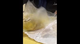 Amusing clip shows that unwrapping food packaging can be a real struggle