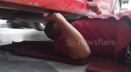 Car was dismantled to find a snake that got into it and then disappeared