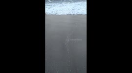 Sea view moments