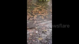 US: Storm Brings Torrential Rains, Flash Flooding To South Florida 10