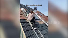 Couple added £230k to their home after renovating and painting roof tiles for £400