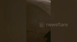 Dog walker captures mysterious doughnut-shaped UFO above UK skies