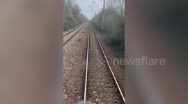 Plucky wild rabbit runs along tracks in front of oncoming train in Romania