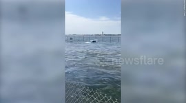 Videos shows vehicles almost completely submerged in floodwaters at Fort Lauderdale Airport