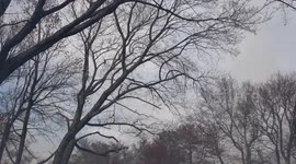 Brush Fire spreads causing damage to Saint Michael’s Cemetery along with evacuations in Coal Township, Pennsylvania