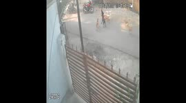 Brave mom saves son from attack of group of stray dogs