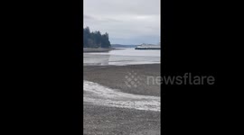 Ferry with nearly 600 passengers runs aground near Bainbridge Island, Washington state 'after losing power'