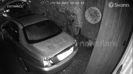 Shocking CCTV shows moment officer left seriously injured after being mauled by police dog
