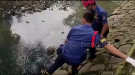 Huge 10 foot python rescued from ditch by Indonesia officials