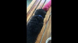 his reaction to seeing his toy for the first time