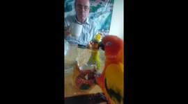 A man and a parrot eating breakfast together at either side of a table.