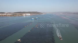 Abalone Farming in Rongcheng, China