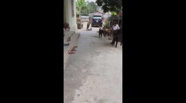 The dog is happy after seeing its owner again after 6 months of separation