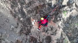 Abseiling firemen rescue puppy stranded on cliff in Bristol