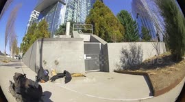 Skateboarder slams while grinding concrete ledge